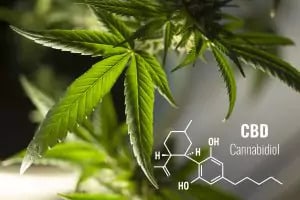 CBD Extraction 101: Popular Methods Explained